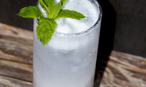Coconut Bloom