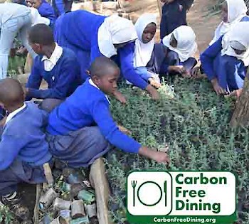 Carbon Free Dining at inamo